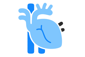 Cardiology