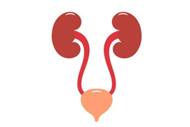 Urology
